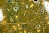 Polished Ocean Jasper Stone - Madagascar #372970-1